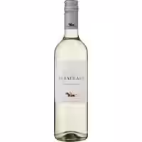 Albaclara Sauvignon Blanc