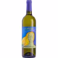 Anthilia