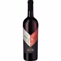 Arte Insieme Primitivo Montepulciano