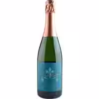 Aufricht Pinot Blanc Sekt