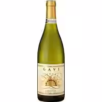 Aurora Gavi