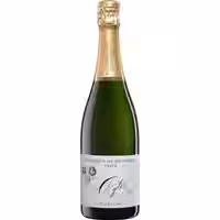 Ayler Sekt