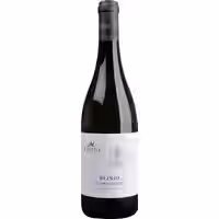 Azienda Agricola Bruni Plinio Vermentino