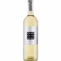 Brancaia Il Bianco