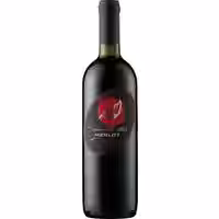 Brisotto Merlot