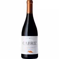 Cabriz Reserva Red