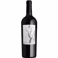 Cantina Sampietrana Sessantenario Malvasia Nera