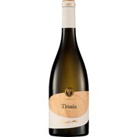 Cantine due Palme Tinaia Chardonnay