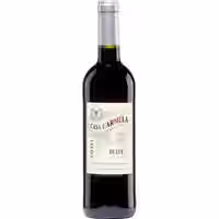 Castaño Casa Carmela Tinto