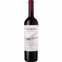 Catena Cabernet Sauvignon