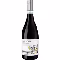 Centovie Montepulciano