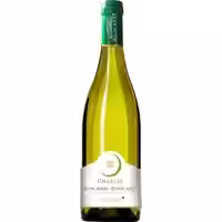 Chablis Vieilles Vignes Sainte Claire