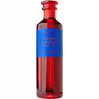 Conte Camillo Negroni