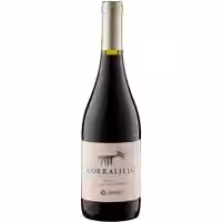 Corralillo Syrah Bio