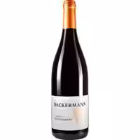 Dackermann Saint Laurent