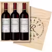 Der Chilenische Rothschild