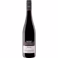 Divino Juventa Spätburgunder