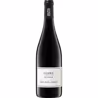 Domaine Dubost Le Vivier