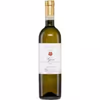 Elio Filippino Gavi
