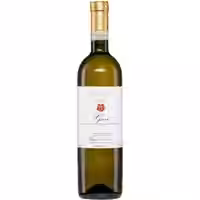 Elio Filippino Gavi