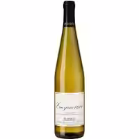 Eruzione 1614 Carricante