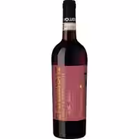 Evoluzione Chianti Riserva 5 Anni