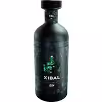 Gin Xibal Botran