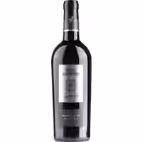 Gran Maestro Primitivo di Manduri