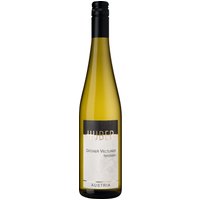 Grüner Veltliner Terrassen