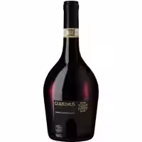 Gulielmus Aglianico Riserva