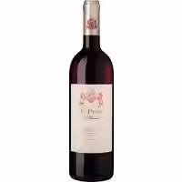 Il Pino di Biserno
