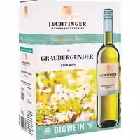 Jechtinger Grauburgunder Bio