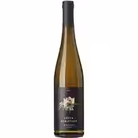 Julia Schittler Gottesgarten Riesling