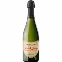 Juvé & Camps Reserva de la Familia Gran Reserva