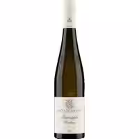Krötenpfuhl Riesling GG