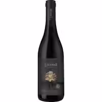 L'Avenir Die Boom Pinotage