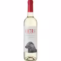 Lutra Branco