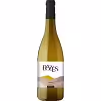 Metairie du Razes Chardonnay