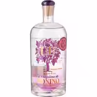 Nonino Grappa Ue Fragolino