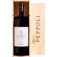 Peppoli