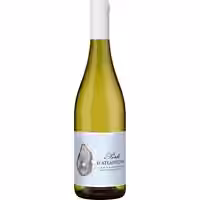Perle d'Atlantique Sauvignon Blanc