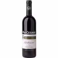 Pio Cesare Barbaresco