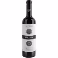Pio Cesare Barbaresco "Il Bricco"