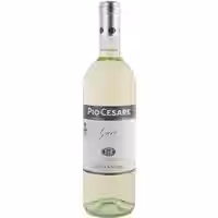 Pio Cesare Gavi