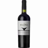 Premium Cuvée Tannat Merlot Cabernet Franc