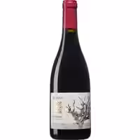 Recanati Wild Carignan Reserve
