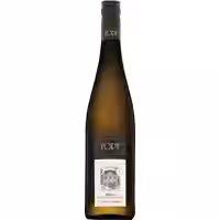 Ried Wechselberg Spiegel Riesling Reserve