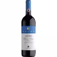 San Leonino Salivolpe Chianti Gran Selezione