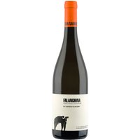 San Salvatore Falanghina Bianco