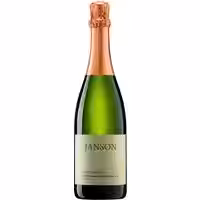 Schloss Janson Aus dem Burggarten Riesling Sekt